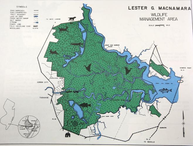 Along the Tuckahoe River, a hidden world revealed