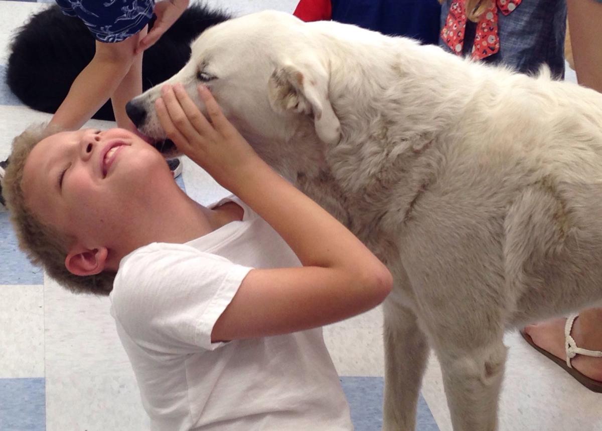 E, I, E, I, O: Funny Farm Animal Sanctuary | Brigantine | pressofatlanticcity.com