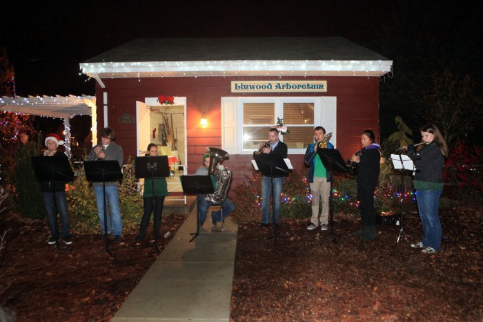 Linwood Tree Lighting