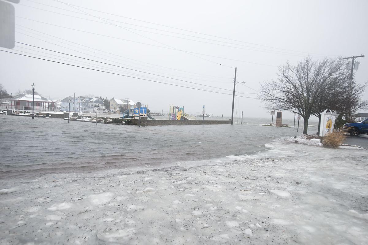 January Storm Photos
