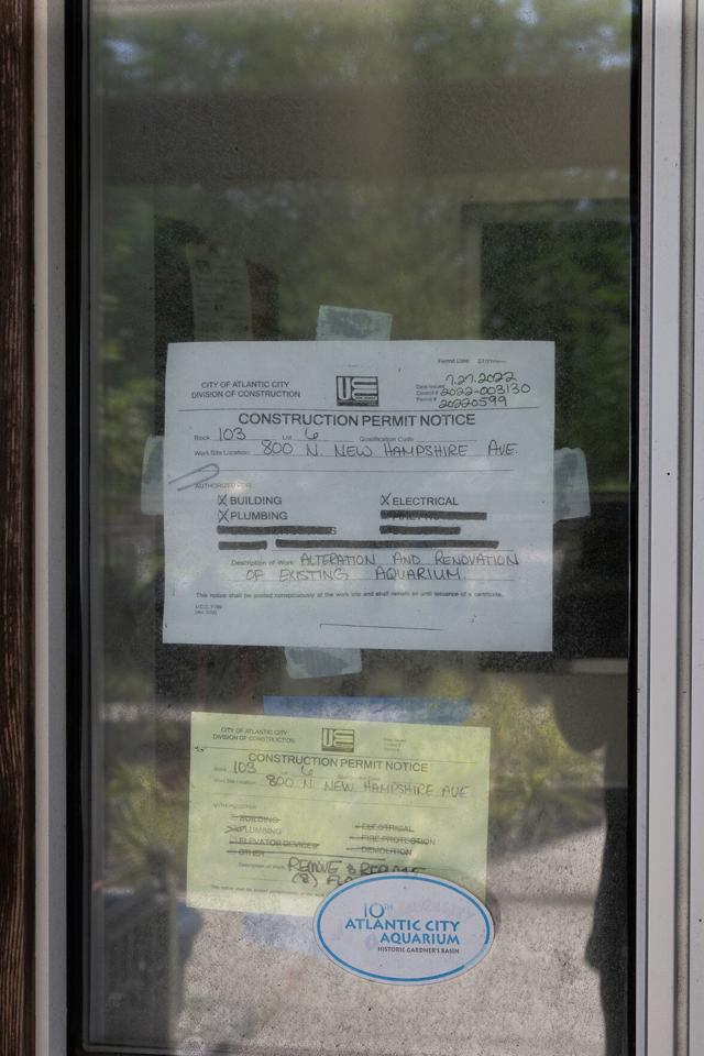 When the Atlantic City Aquarium reopens, people want more