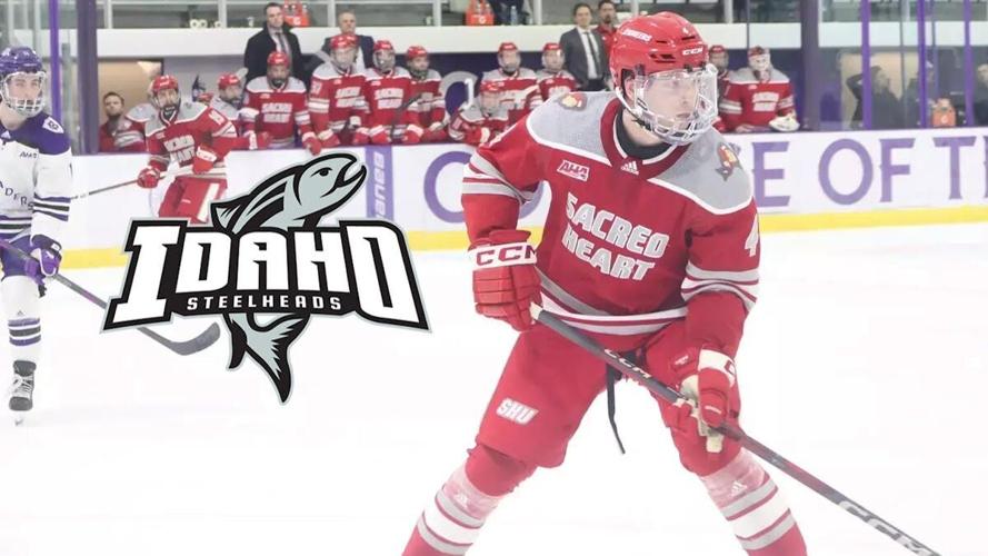 Driscoll signs with Steelheads