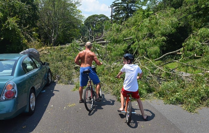 storm cleanup