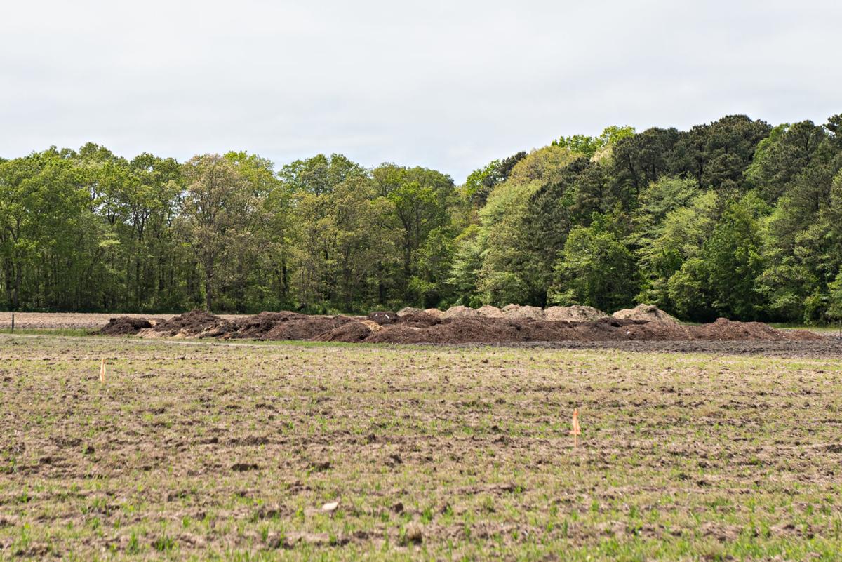 WATCH NOW Produce starts growing again at Reed's Farm in Egg Harbor