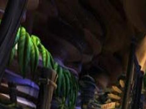 Sly cooper thieves in time pc free download