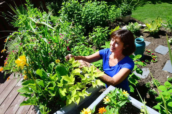 garden
