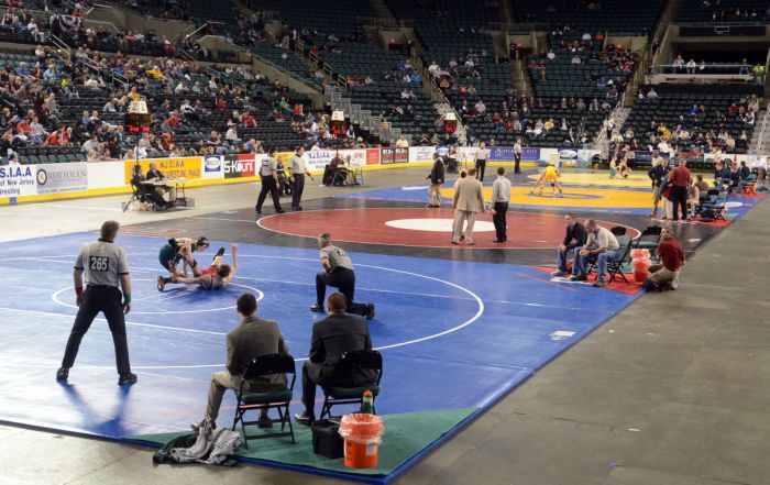 state wrestling tourn