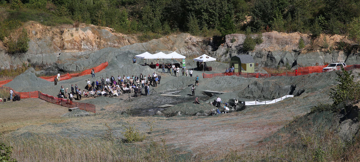 rowan dinosaur dig