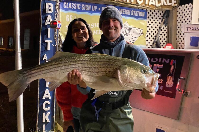 22.9-pound striper entered into Long Beach Island Surf ...