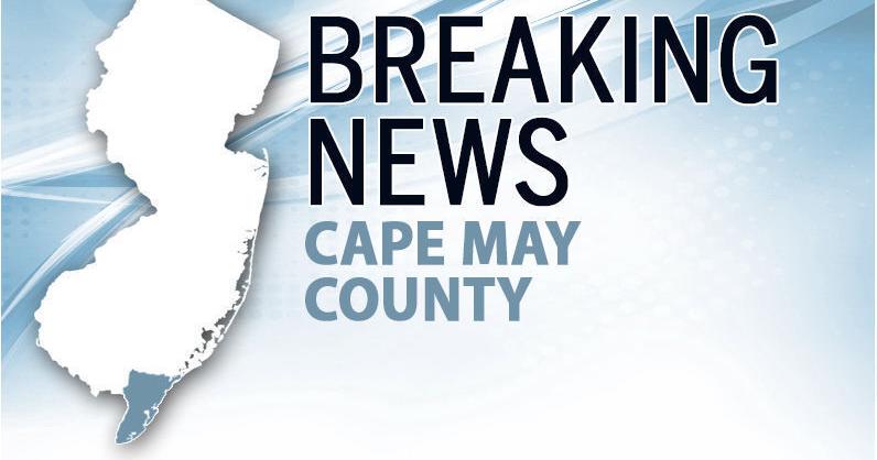 Dolphin stuck in small creek in Cape May Court House - Vimarsana News