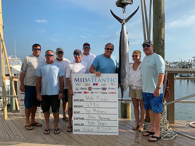 Big Blue Marlin Highlights Day 1 at The 2023 MidAtlantic Tournament - Ocean  City MD Fishing
