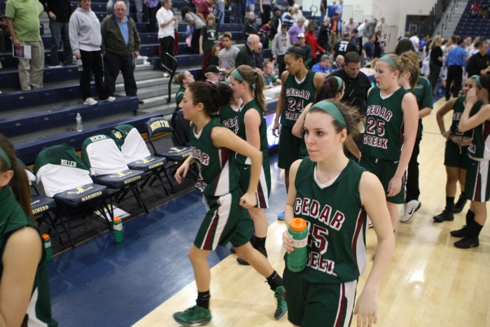 Dedar Creek gbb