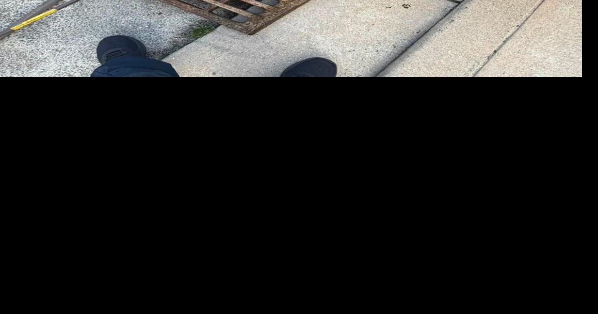 Brigantine Firefighters Pluck Nine Ducklings from Storm Drain