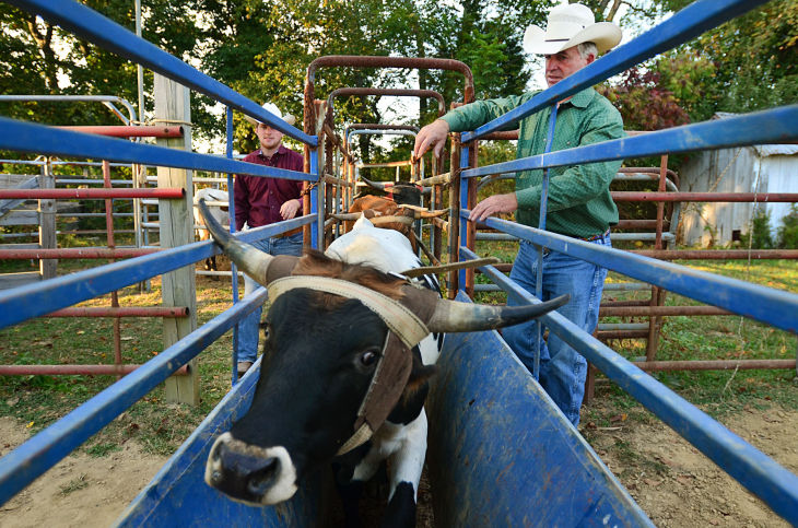 butch days rodeo