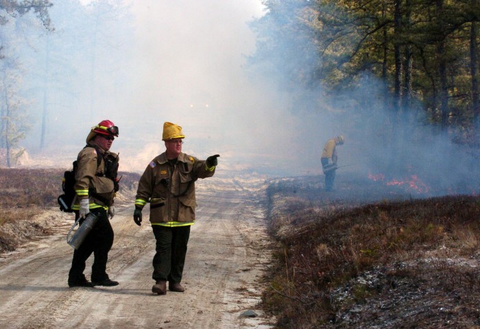 controlled burn