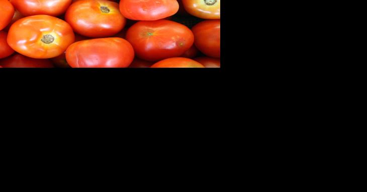 NJ Department of Agriculture to hand out tomatoes - Vimarsana News