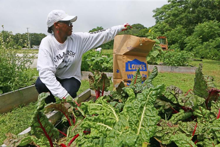 Community Garden in Pleasantville
