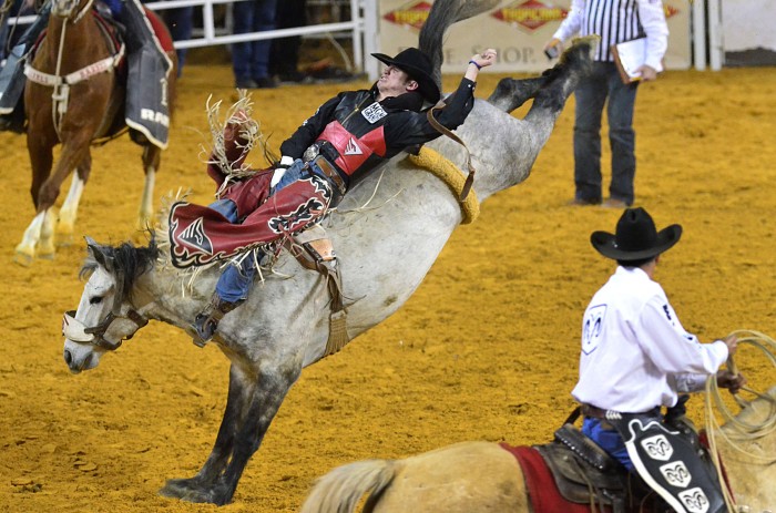 sat boardwalk rodeo