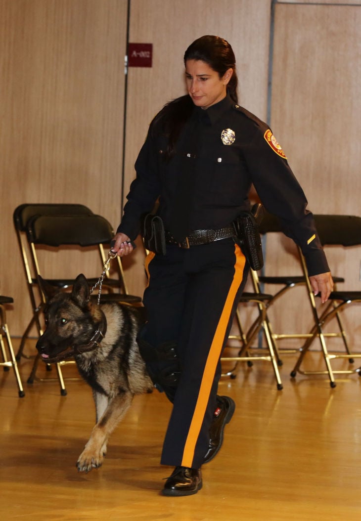 Ventnor's K9 dog attacks police handler, causing injuries