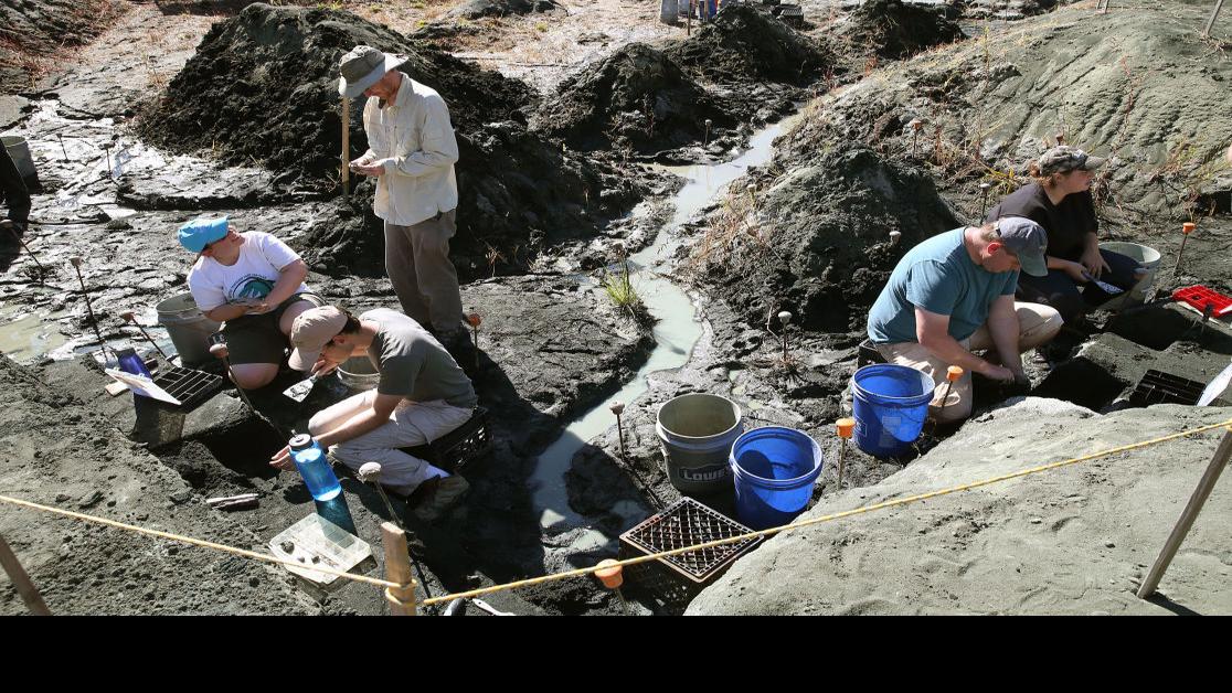 rowan dinosaur dig