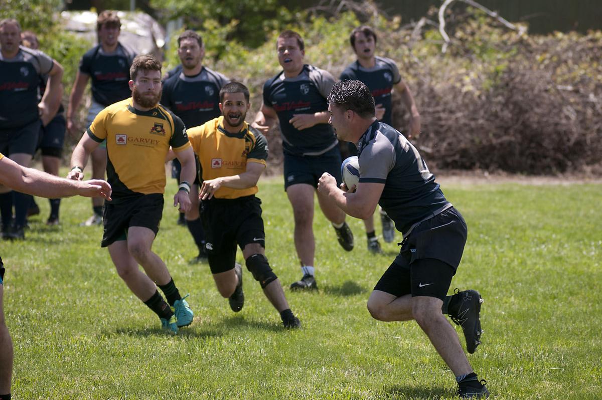 Galloway Rugby