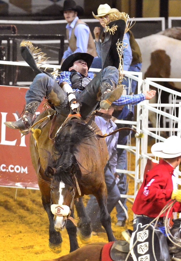 friday night rodeo