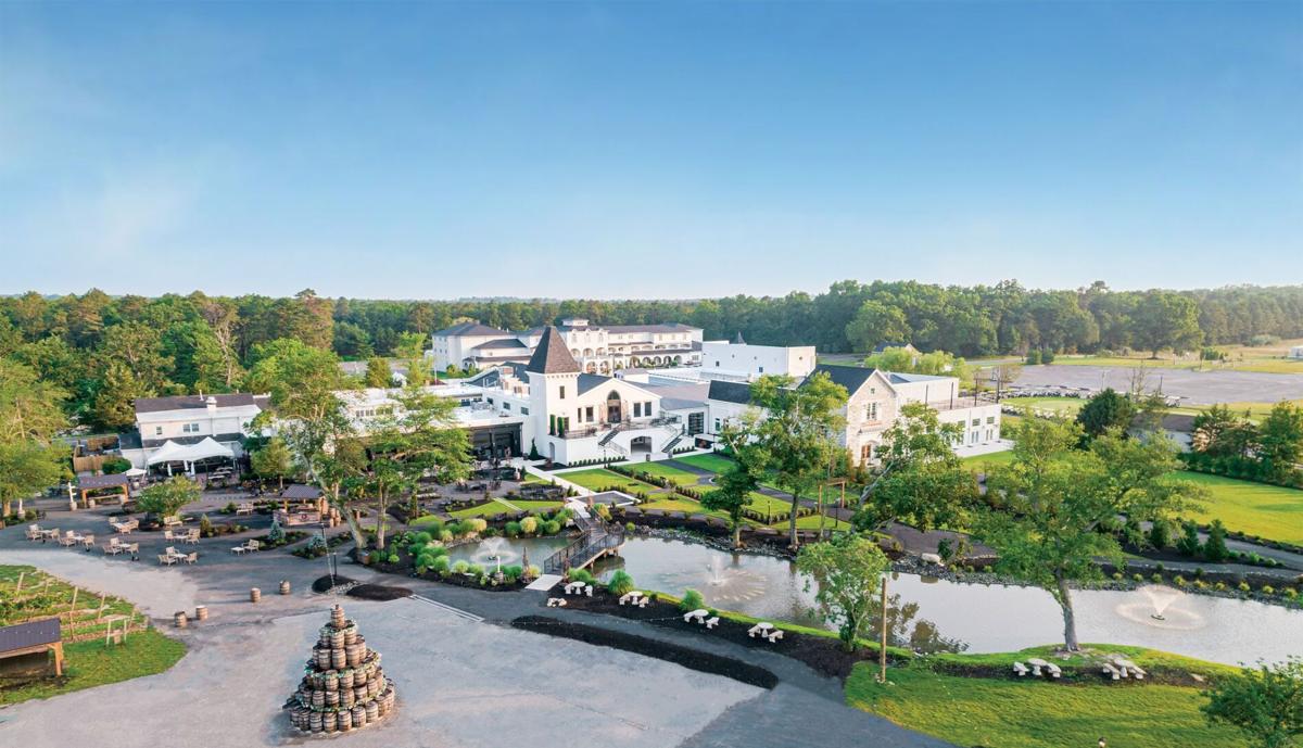 Renault Winery