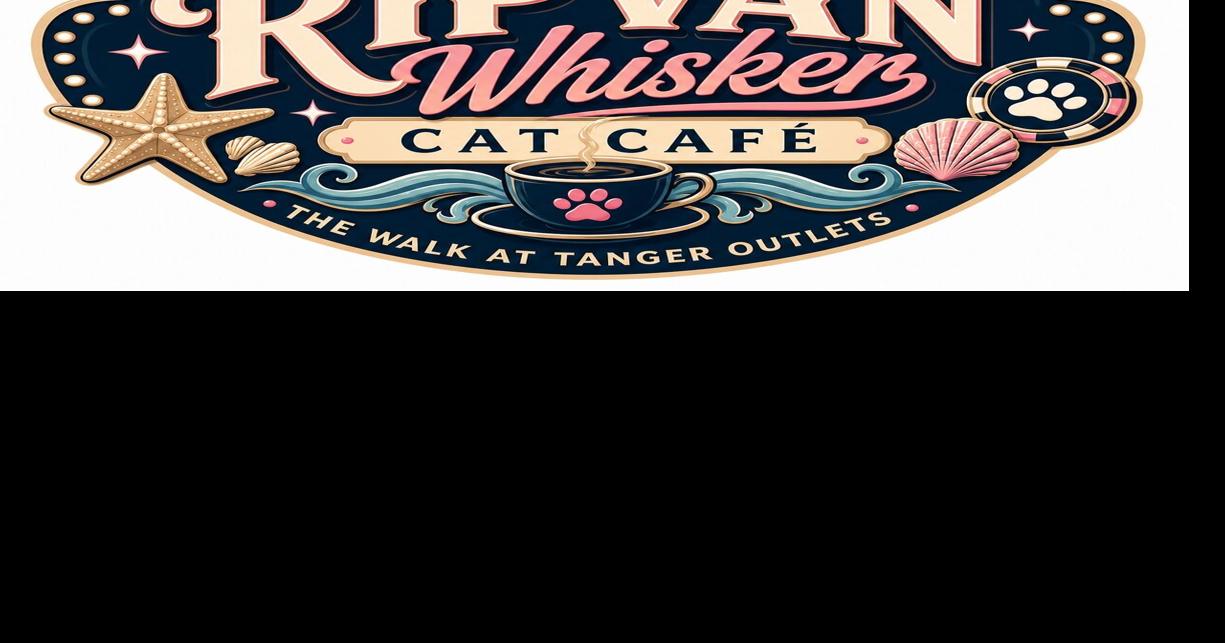 Atlantic City's upcoming cat cafe to partner with Pleasantville rescue