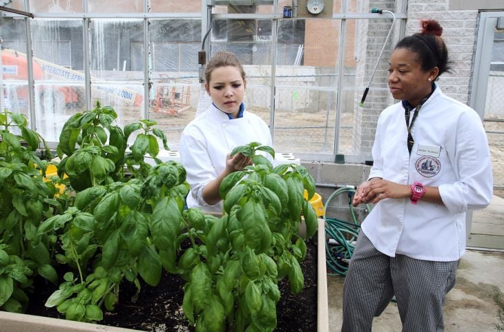 GREEN EDUCATION