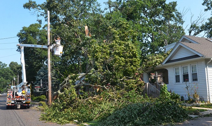 storm cleanup