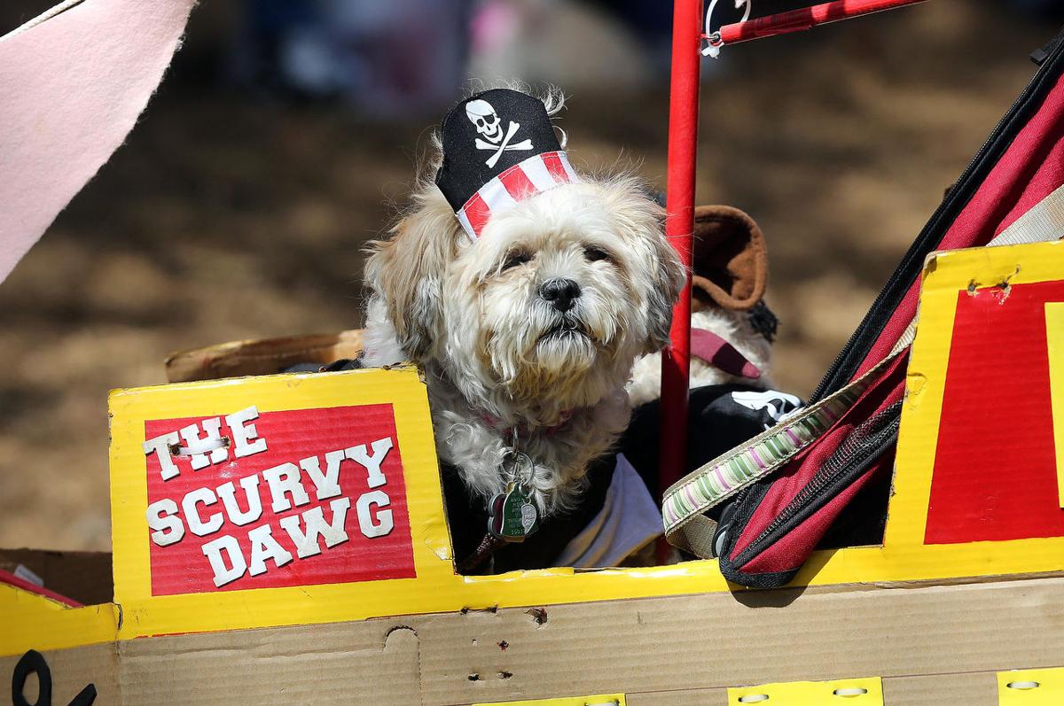 Wheaton Arts Paws for Art Photo Galleries