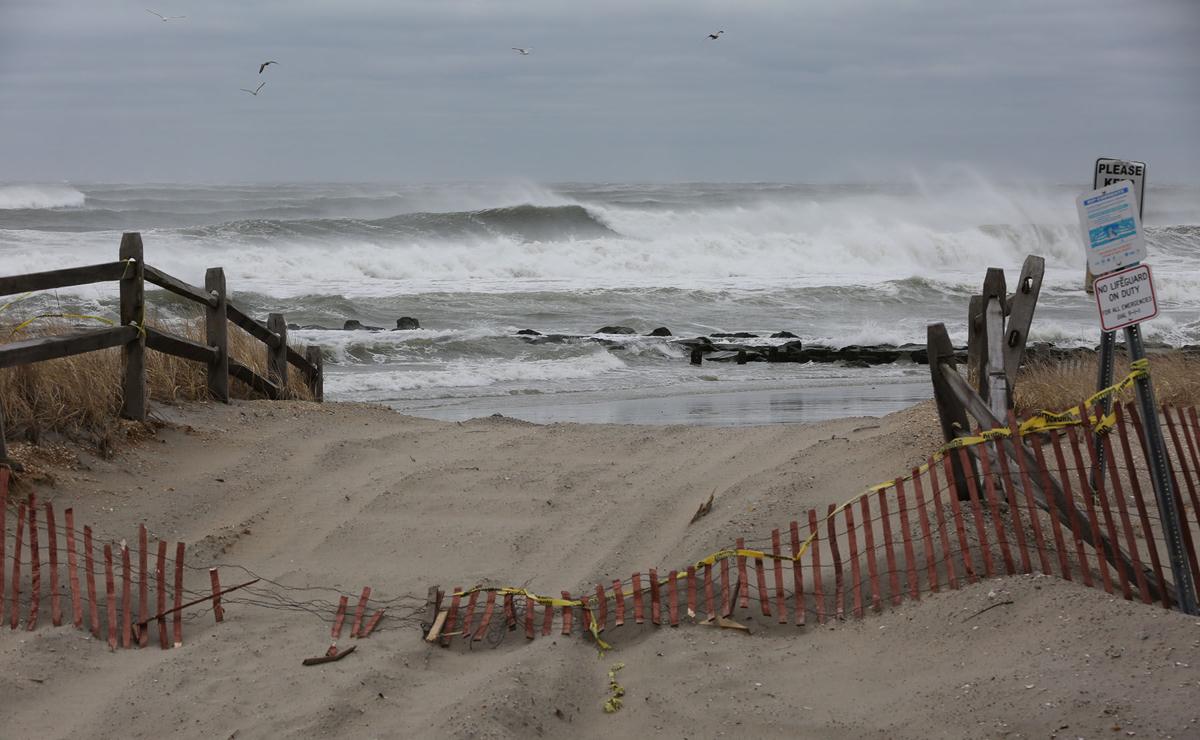 Stella in Ocean City