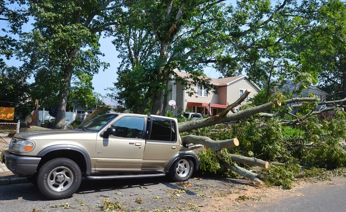 storm cleanup