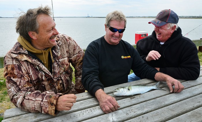 fish advisories