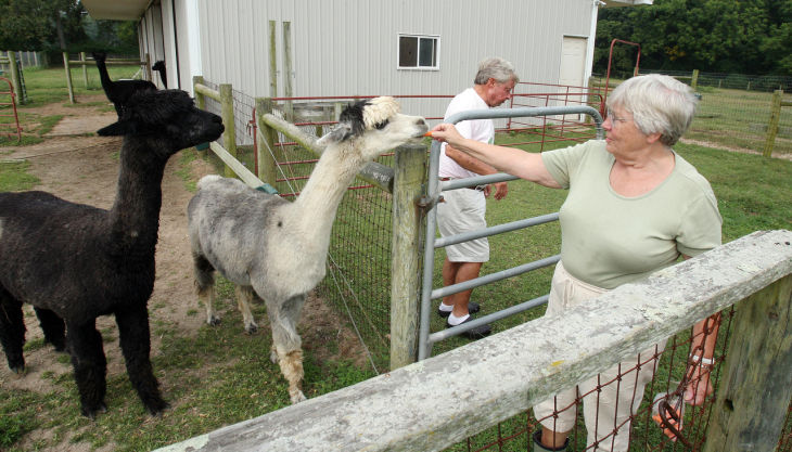 New Jersey s fake farms target of new tax break restrictions