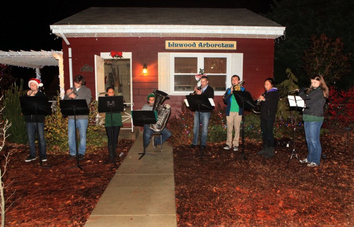 Linwood Tree Lighting