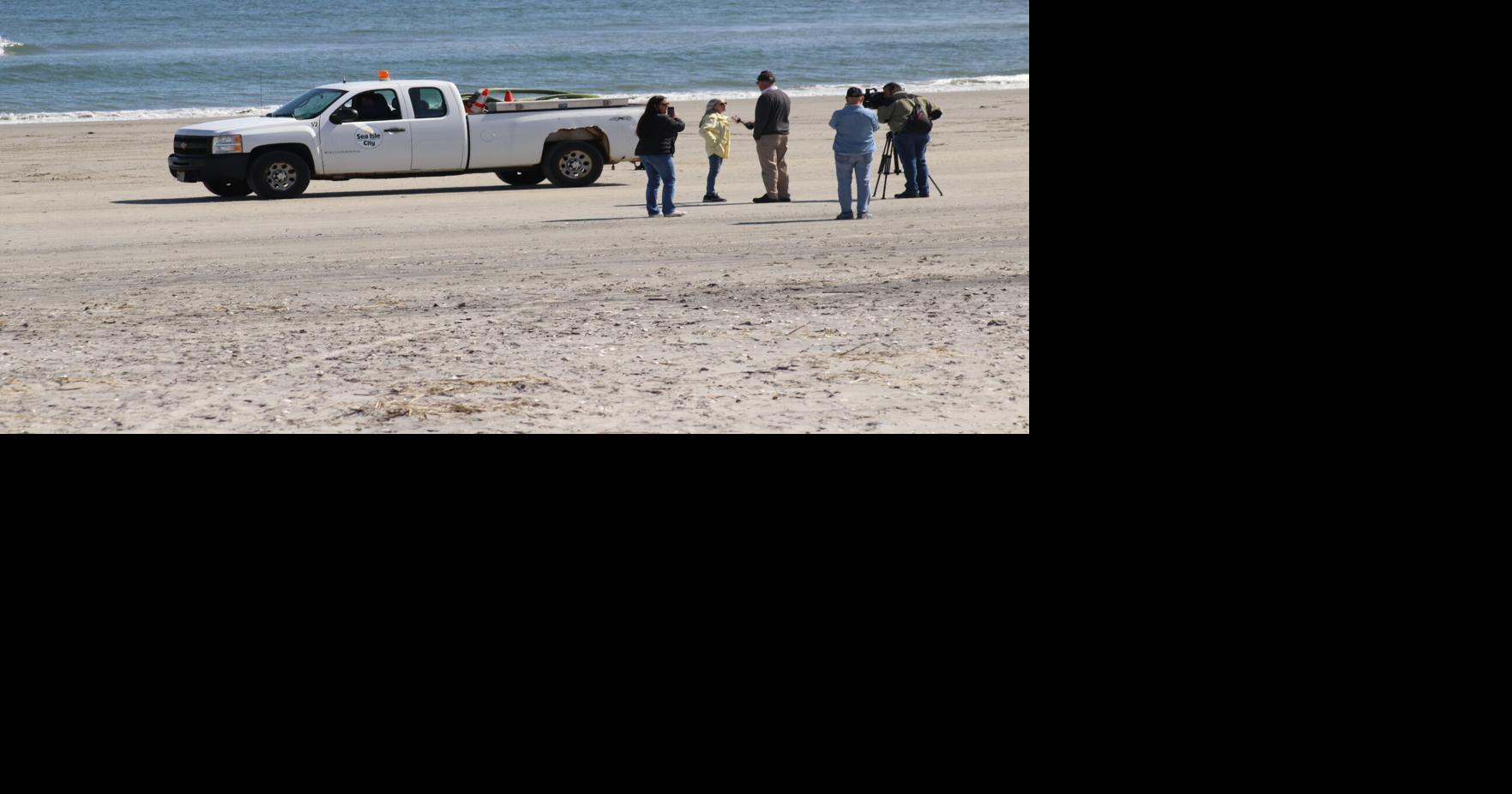 Dolphin Euthanized After Washing Up On Jersey Shore: Officials