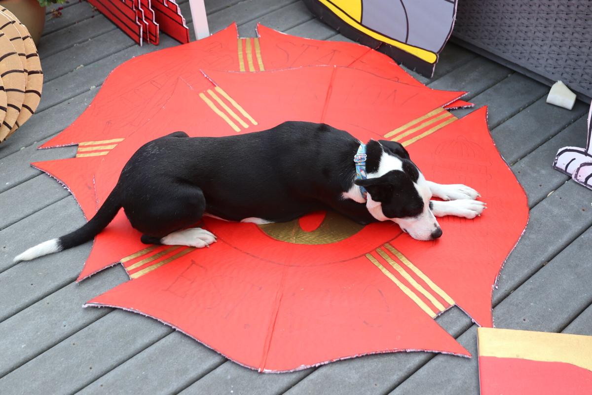 072221-pac-nws-venice