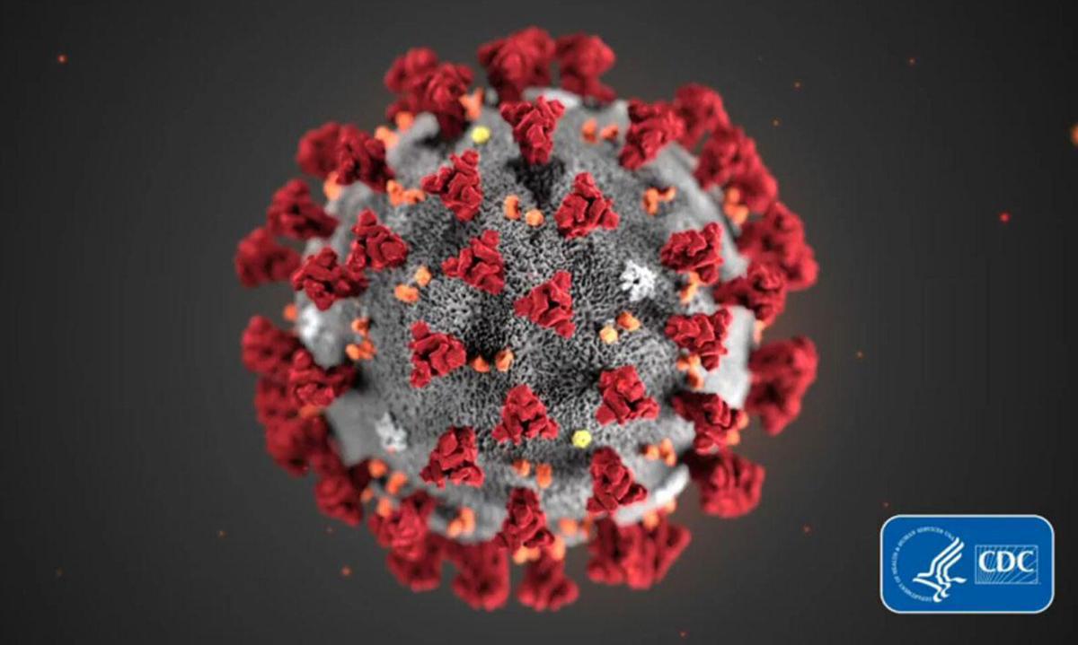 A COVID-19 particle