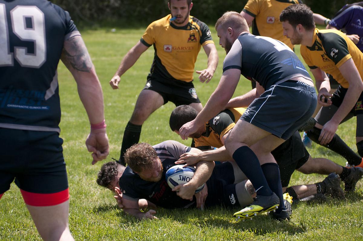 Galloway Rugby