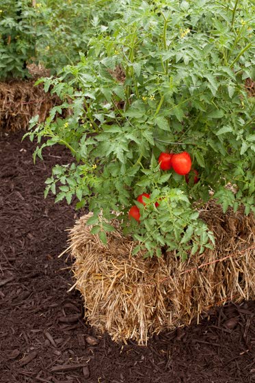 Bales for beds