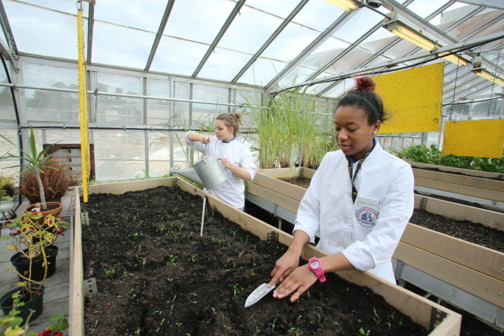GREEN EDUCATION