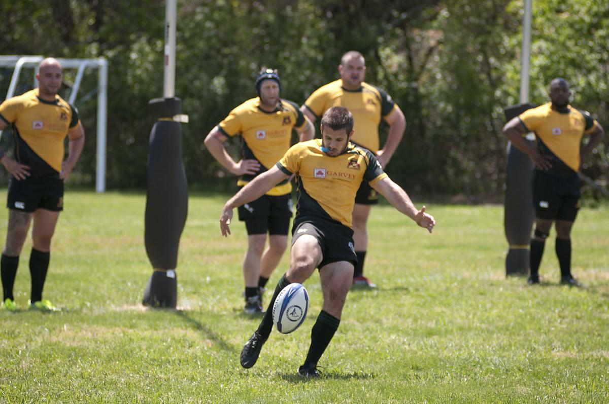Galloway Rugby