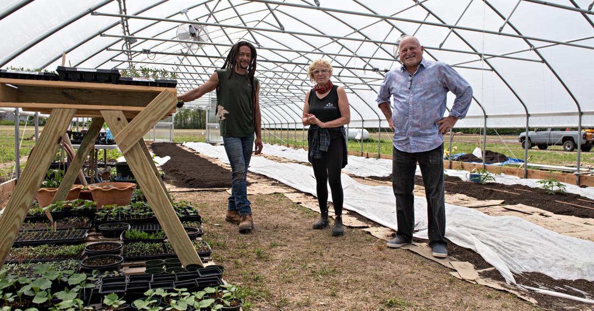 Produce starts growing again at Reed's Farm in Egg Harbor Township
