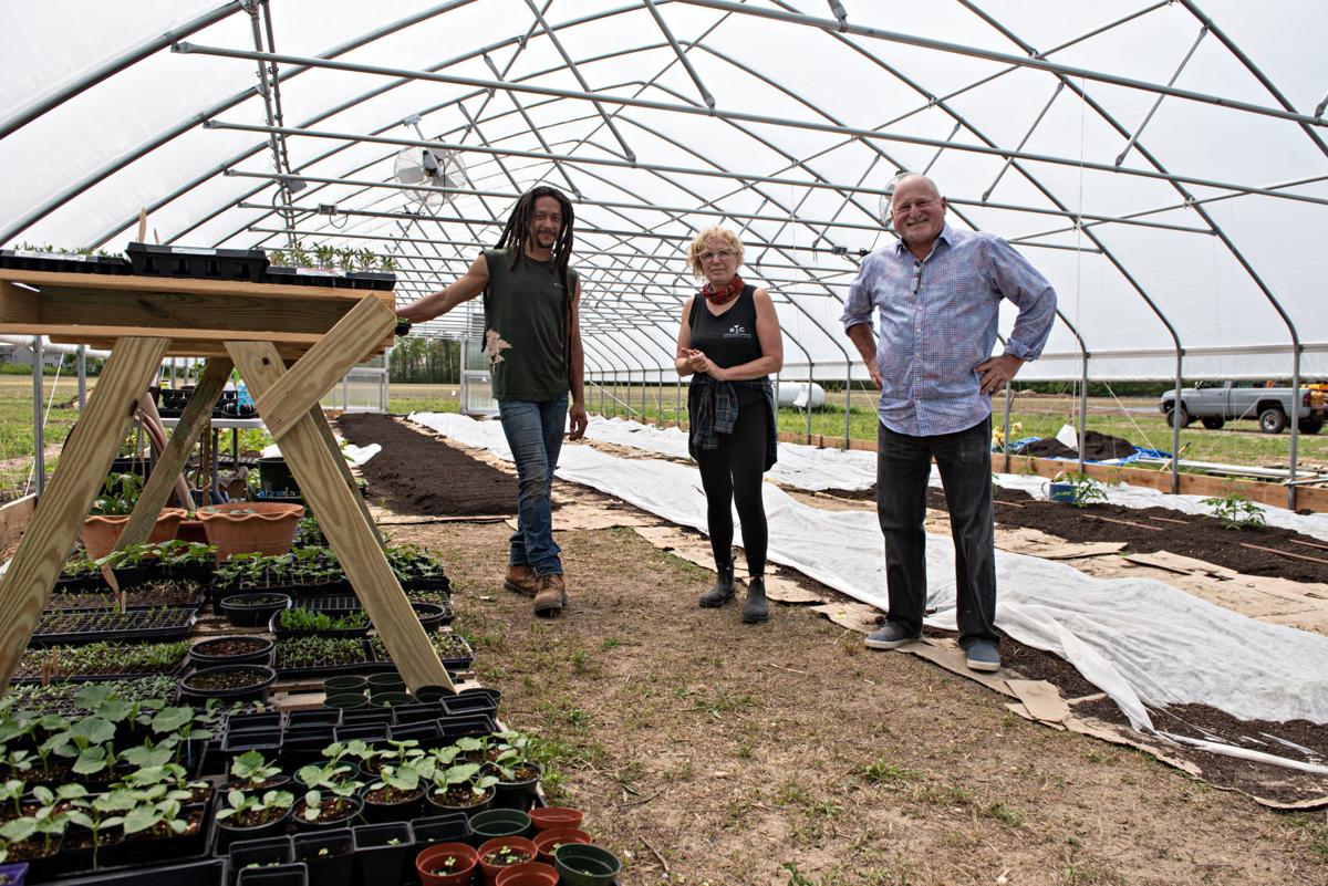 WATCH NOW Produce starts growing again at Reed's Farm in Egg Harbor