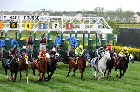 Atlantic City Race Course comes alive with horse racing | Atlantic City ...