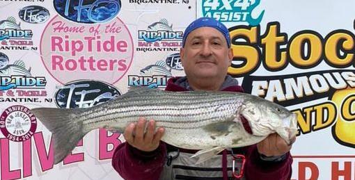 New Jersey tog season opens with nice catches, a lot of rain