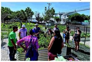 Stockton grant helps K-12 teachers learn about, teach climate change news image
