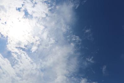 Partly Sunny