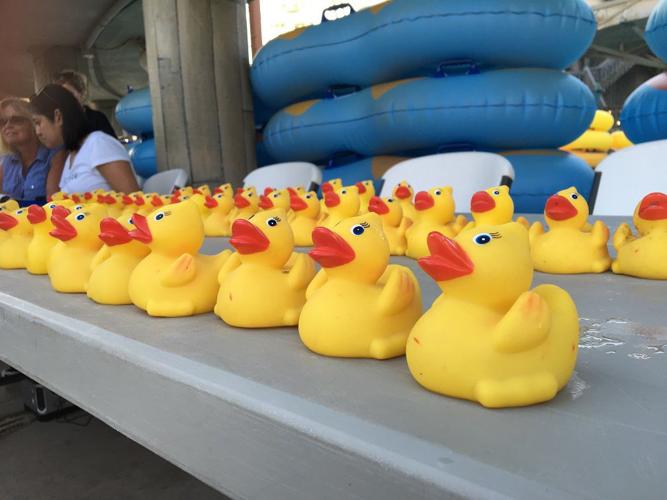 'Rubber Ducky Regatta' raises money for early childhood education